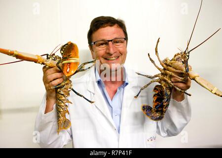 France, Manche, mer d'Iroise, Audierne, M. Lopez, directeur des viviers d'Audierne Banque D'Images
