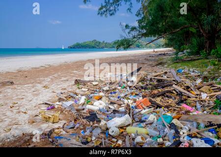 La Thaïlande, province de Phang Nga, Parc national marin de Tarutao, Ko Tarutao island, de détritus provenant de la mer au cours de la mousson sur Ao Pante Malacca beach Banque D'Images