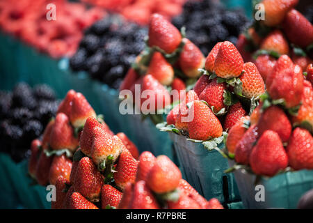 Seaux et de barquettes de fraises en vente sur un marché canadien à Toronto, entouré d'autres petits fruits noir abd rouge dans l'image de fond de Banque D'Images