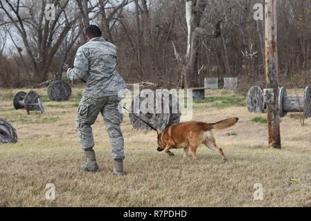 Airman Senior Brandon Proctor, 22e Escadron des Forces de sécurité de chien de travail militaire, et, l'IRAS MWD, effectuer une formation scoute, 23 mars 2017, à McConnell Air Force Base, Kan. Ce type de formation prépare les chiens pour être en mesure de localiser un suspect qui s'enfuit dans une zone boisée. Banque D'Images