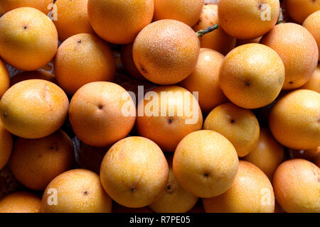 Fruits de Granadilla frais et mûrs, fruits de la passion, ou Passiflora ligularis dans un marché agricole de Medellin, Colombie, Amérique du Sud Banque D'Images