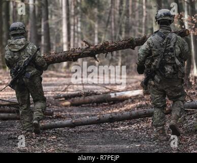 Les parachutistes de l'armée américaine de la Compagnie Charlie, 1er Bataillon, 503e Régiment d'infanterie, 173e Brigade aéroportée mis en place d'obstacles sur une route voisine de ralentir les progrès de l'ennemi sur leur position. Banque D'Images