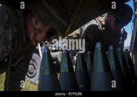 Les Marines américains affectés à la batterie Bravo, 1er Bataillon, 12e Régiment de Marines, inspection des munitions pour leur M777A2 pendant l'obusier tracté léger fureur spartiate à la zone d'entraînement de Pohakuloa, sur la grande île d'Hawaï, le 22 mars 2017. Fureur spartiate est un niveau du bataillon l'entraînement préalable au déploiement exercice visant à améliorer soutien la formation de futurs déploiements. Banque D'Images