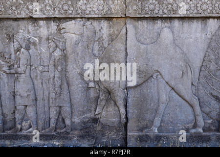 L'Iran, le beau-fils dans les ruines de l'ancienne Persépolis complexe de la civilisation proche-orientale avec l'architecture perse Banque D'Images