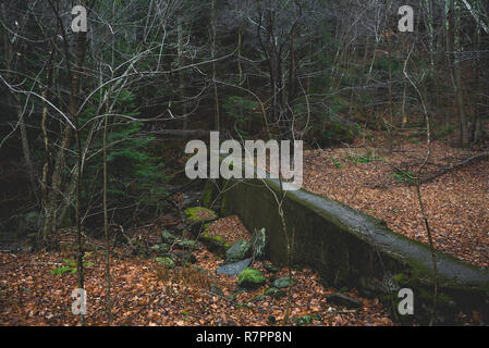 Scènes d'automne au cours d'une randonnée pédestre à Hunter Mountain dans l'État de New York. Banque D'Images