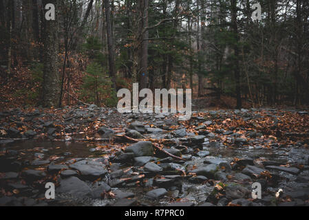 Scènes d'automne au cours d'une randonnée pédestre à Hunter Mountain dans l'État de New York. Banque D'Images