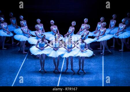 Berlin, Deutschland. 06Th Nov, 2018. 01.12.2018, le plus grand lac des cygnes dans le monde avec le Ballet de Shanghai sous la direction du chorégraphe Derek Deane. Première allemande dans le théâtre de la Potsdamer Platz à Berlin. À l'Presscall on nous a permis de prendre des photos de la performance à l'avance, avant la premiere étape de la marche dans la soirée. Cette production ne sera plus que de vivre jusqu'à la devise "avec plus de cygnes que vous pouvez payer avec des cygnes 48 au lieu de 16. Utilisation dans le monde entier | Credit : dpa/Alamy Live News Banque D'Images