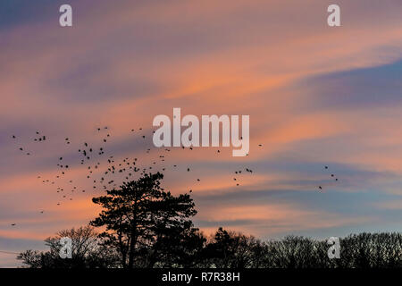 Ardara, comté de Donegal, Irlande. 11 décembre 2018. Le soleil se lève sur un jour froid et venteux sur la côte nord-ouest. Crédit : Richard Wayman/Alamy Live News Banque D'Images