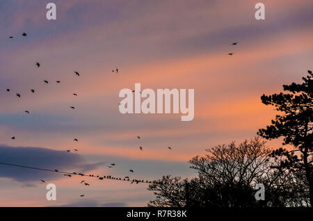 Ardara, comté de Donegal, Irlande. 11 décembre 2018. Le soleil se lève sur un jour froid et venteux sur la côte nord-ouest. Crédit : Richard Wayman/Alamy Live News Banque D'Images