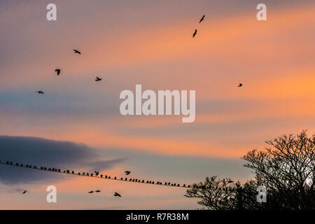 Ardara, comté de Donegal, Irlande. 11 décembre 2018. Le soleil se lève sur un jour froid et venteux sur la côte nord-ouest. Crédit : Richard Wayman/Alamy Live News Banque D'Images