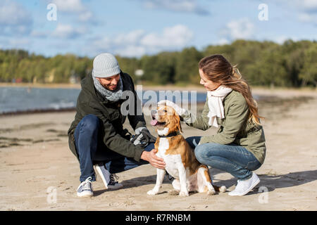 Heureux couple avec chien beagle sur plage d'automne Banque D'Images