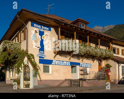 Dans Mittelplars laitiers, Lagundo près de Merano, Région du Sud, l'Italie, l'Europe Tyrol-Bolzano Banque D'Images