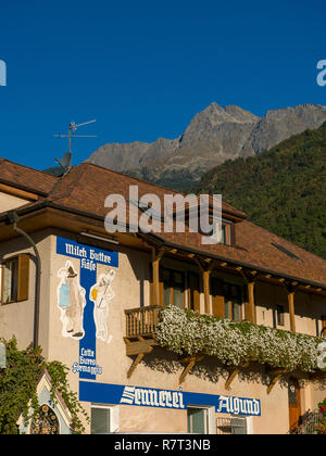 Dans Mittelplars laitiers, Lagundo près de Merano, Région du Sud, l'Italie, l'Europe Tyrol-Bolzano Banque D'Images