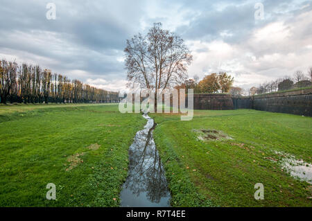 Lucca. Les murs de la ville antique dans un jour de pluie Banque D'Images