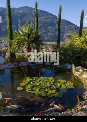 Jardin d'Nutzhof Lagundo, près de Merano, Région du Sud, l'Italie, l'Europe Tyrol-Bolzano Banque D'Images