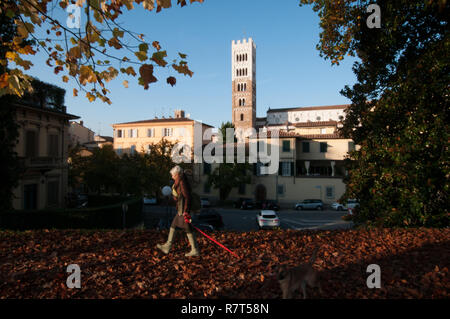 Lucca. La Cathédrale de Saint Martino clocher de murs de ville Banque D'Images