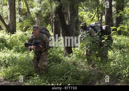 Zone d'entraînement du corps des marines des soufflets, Hawaii (30 mars 2017) Le Sgt. Ryan Morgan, gauche, et Pvt. Daniel Jackson de 112e Batt du signal. (Opérations spéciales) (Airborne) - opérations spéciales du Pacifique, l'appui du signal Det, courir à travers une zone dangereuse au cours de la connaissance de terrain-marteau/exercice d'entraînement situationnel 17-2, le 30 mars 2017. Hammerhead FTX est un événement semestriel pour développer et renforcer les tâches fondamentales inhérentes à chaque carabinier soldat indépendamment de spécialités professionnelles militaires. Banque D'Images