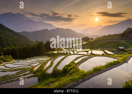 Rizières en terrasse au coucher du soleil à Maruyama-senmaida, Kumano, au Japon. Banque D'Images