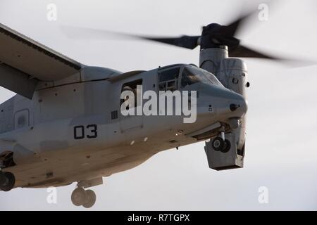 Un MV-22 Osprey chef d'équipe d'avion à rotors basculants affectés à l'escadron 165 à rotors basculants Support Marine, Marine à des fins spéciales Groupe Force-Crisis Response-Central air-sol commande efface l'approche dans un endroit inconnu en Asie du Sud-Ouest, le 5 avril 2017. Le chef de l'équipe garde les yeux sur la zone d'atterrissage et communique avec les pilotes d'assurer que l'avion s'écarte des obstacles au cours de l'atterrissage. SPMAGTF Marines toujours train pour améliorer leur capacité à réagir à une mission qu'ils peuvent rencontrer lors de la réalisation de l'USCENTCOM mission d'intervention en cas de crise. Banque D'Images