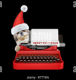 Santa mignon chien shitzu est saisie sur un clavier de machine à écrire. Isolé sur fond noir Banque D'Images