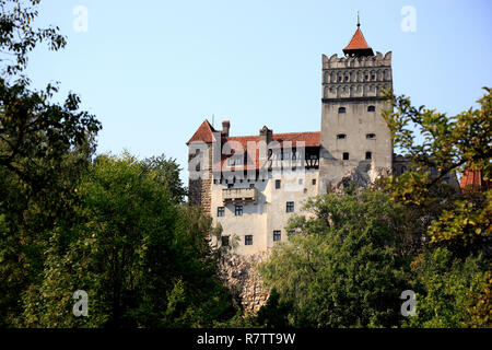 Le Château de Bran ou le château de Dracula, Braşov, comté de Braşov, Transylvanie, Roumanie Banque D'Images