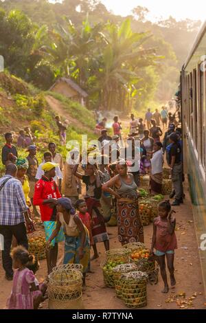 Madagascar, Highlands, région Vatovavy Fitovinany, FCE train entre Fianarantsoa et Manakara, 160 km de voies Banque D'Images