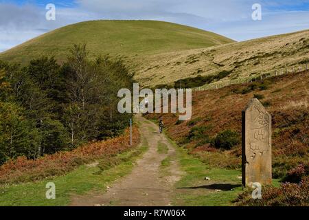 France, Pyrénées Atlantiques, Pays Basque, Camino de Santiago (Chemin de Saint Jacques) sur le GR 65 entre Saint Jean Pied de Port et Roncevaux vers le col Bentarte, marqueur de la frontière entre la Navarre en Espagne et la Basse Navarre en France Banque D'Images