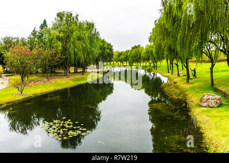 Chine Jardin botanique de Shanghai avec Green River Shore Des arbres et de l'eau Lily Banque D'Images