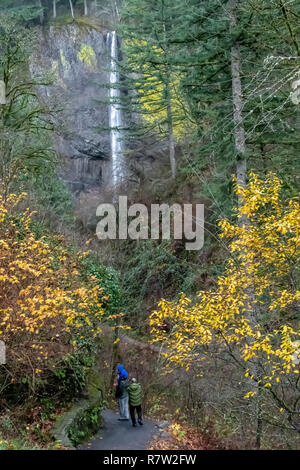 Latourell Falls dans la Columbia River Gorge, Oregon Banque D'Images