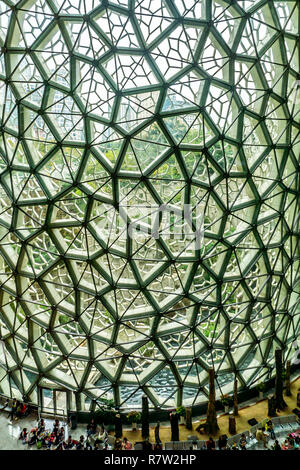 Musée d'Histoire Naturelle de Shanghai avec vue sur l'intérieur de la paroi de verre et les élèves faire un pique-nique Banque D'Images