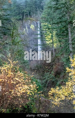 Latourell Falls dans la Columbia River Gorge, Oregon Banque D'Images