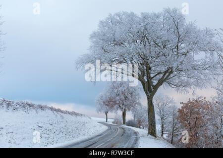 La France, l'Aveyron, Montfranc, route en hiver Banque D'Images