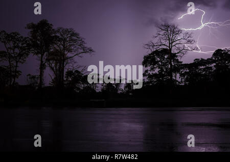 La foudre pendant un orage spectaculaire avec des silhouettes d'arbres et forêt tropicale, le Cameroun, l'Afrique. Banque D'Images