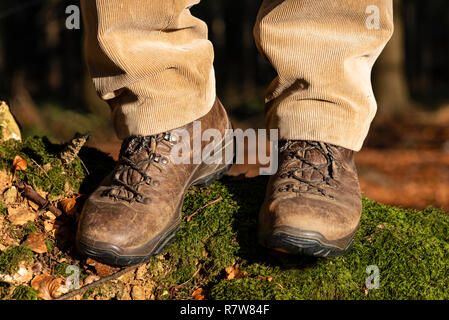 Walker portant des bottes de marche debout sur moss couverts banque en bois en automne, Checkendon, Oxfordshire, England, UK Banque D'Images