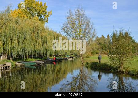 En France, deux Sevres, Parc Interrégional du Marais Poitevin appelé Grand Site de France (Grand Site de France), le vanneau Irleau, marais du vanneau Banque D'Images