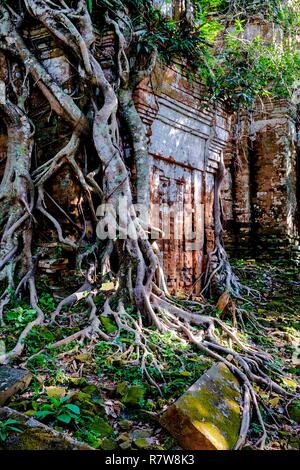 Cambodge, Koh Ker, ancienne capitale khmère au X siècle sous le roi Jayavarman IV, Prasat Pram ou temple Prasat Bram Banque D'Images