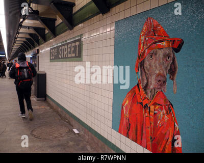 New York, USA. Dec 10, 2018. Une mosaïque à la station de métro 23rd Street montre une oeuvre de l'artiste William Wegman, qui régulièrement ses photographies braque de chiens et les déguisements en partie. (Dpa message : 'les chiens en attente : Braque de décorer de métro à New York' à partir de 12.12.2018) Crédit : Johannes Schmitt-Tegge/dpa/Alamy Live News Banque D'Images