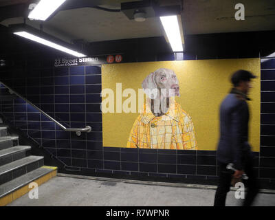 New York, USA. Dec 10, 2018. Une mosaïque à la station de métro 23rd Street montre une oeuvre de l'artiste William Wegman, qui régulièrement ses photographies braque de chiens et les déguisements en partie. (Dpa message : 'les chiens en attente : Braque de décorer de métro à New York' à partir de 12.12.2018) Crédit : Johannes Schmitt-Tegge/dpa/Alamy Live News Banque D'Images