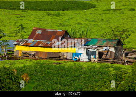 Belen ,un village pauvre dans le début de l'Amazone au Pérou Banque D'Images