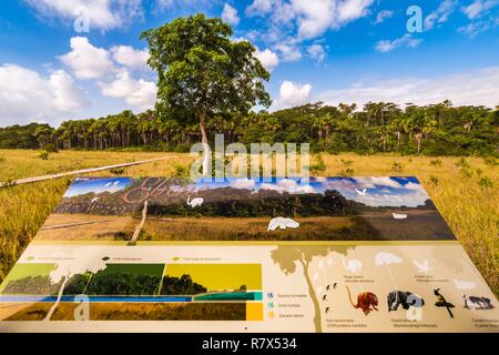 France, Guyane, Kourou, le Centre Spatial Guyanais (CSG), randonnées, notes explicatives de l'différents milieux naturels sur le sentier d'Ebene, au milieu des forêts protégées et les savanes, dans l'enceinte du Centre spatial guyanais et géré par l'Office National des Forêts (ONF) Banque D'Images