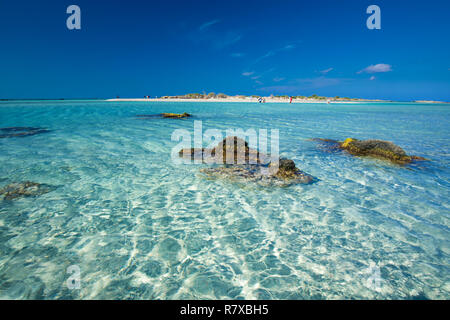 Elafonissi Beach sur l'île de Crète avec azure de l'eau claire, la Grèce, l'Europe. La Crète est la plus grande et la plus peuplée des îles grecques. Banque D'Images