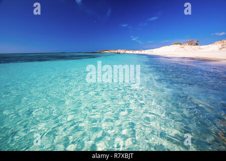 Elafonissi Beach sur l'île de Crète avec azure de l'eau claire, la Grèce, l'Europe. La Crète est la plus grande et la plus peuplée des îles grecques. Banque D'Images