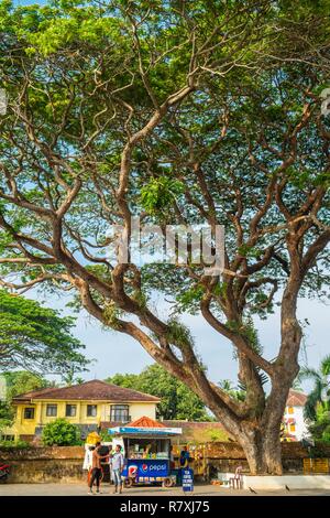 Inde, Etat du Kerala, Kochi (Cochin), ou fort Kochi (ou fort Cochin) district Banque D'Images