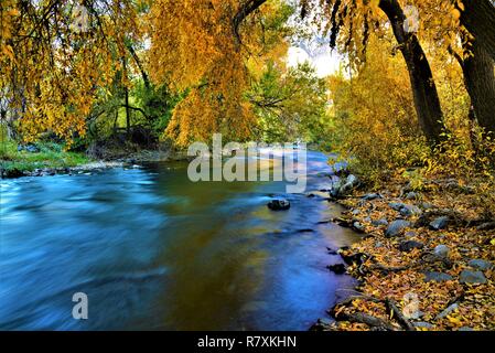 Les arbres d'or et de feuilles mortes le long d'une rivière. Banque D'Images