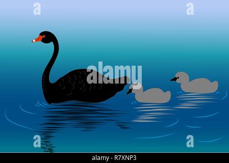 Cygne Noir avec deux oisillons sur l'eau, vector illustration Illustration de Vecteur