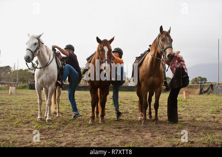 Les gens montent sur les chevaux Banque D'Images