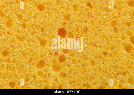 La texture de l'éponge jaune Macro Banque D'Images
