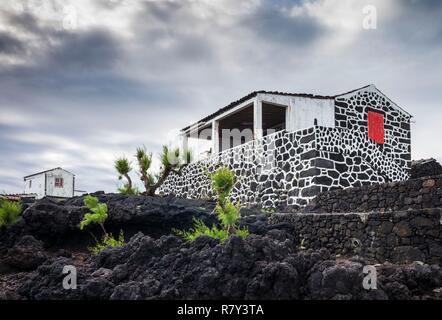 Le Portugal, Açores, l'île de Pico, Lajido, maison en pierre Banque D'Images