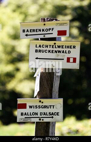 La France, Haut Rhin, Kirchberg, massif du Ballon d'Alsace, Lochberg pass, marquages trail Banque D'Images