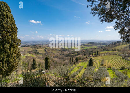 Vue horizontale de la campagne viticole en Toscane, Italie. Banque D'Images